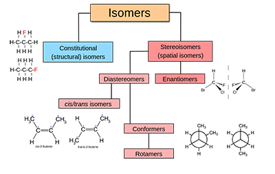 Diagram of different types of isomerism